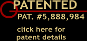 Patent Details- popup window